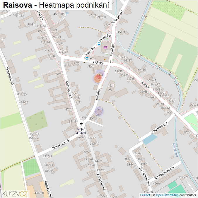Mapa Raisova - Firmy v ulici.