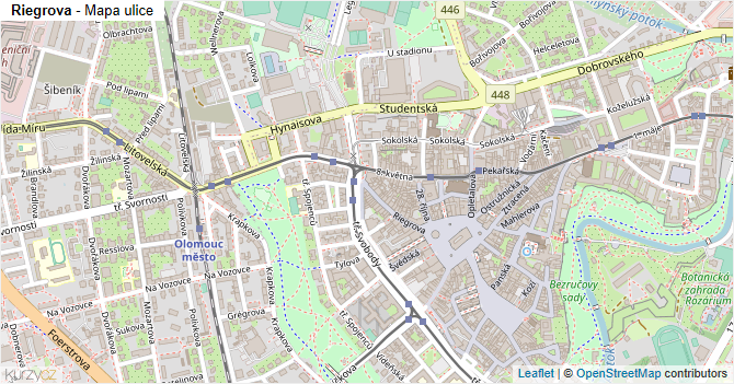 Riegrova - mapa ulice