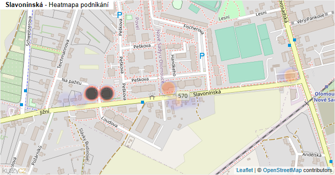 Slavonínská - mapa podnikání