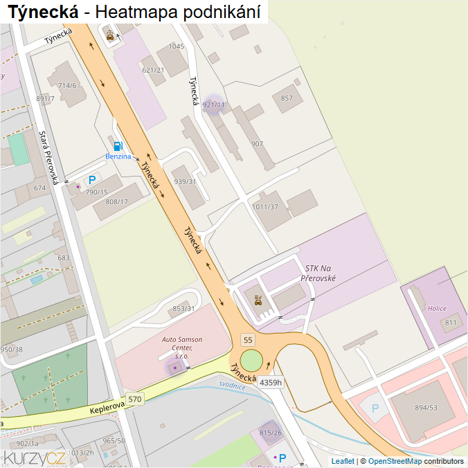 Mapa Týnecká - Firmy v ulici.
