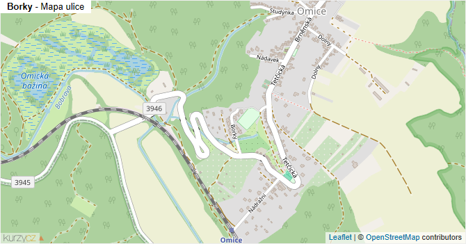 Borky - mapa ulice