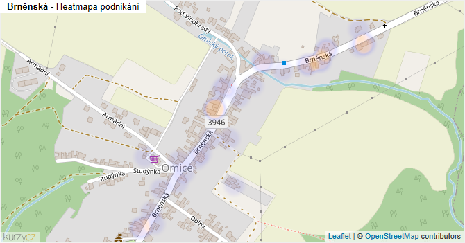 Brněnská - mapa podnikání