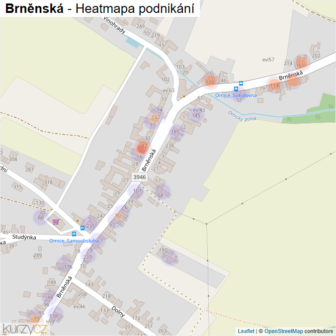 Mapa Brněnská - Firmy v ulici.