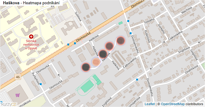 Haškova - mapa podnikání