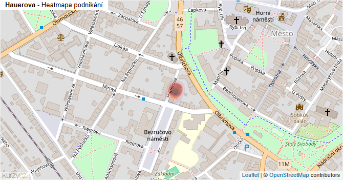 Hauerova - mapa podnikání