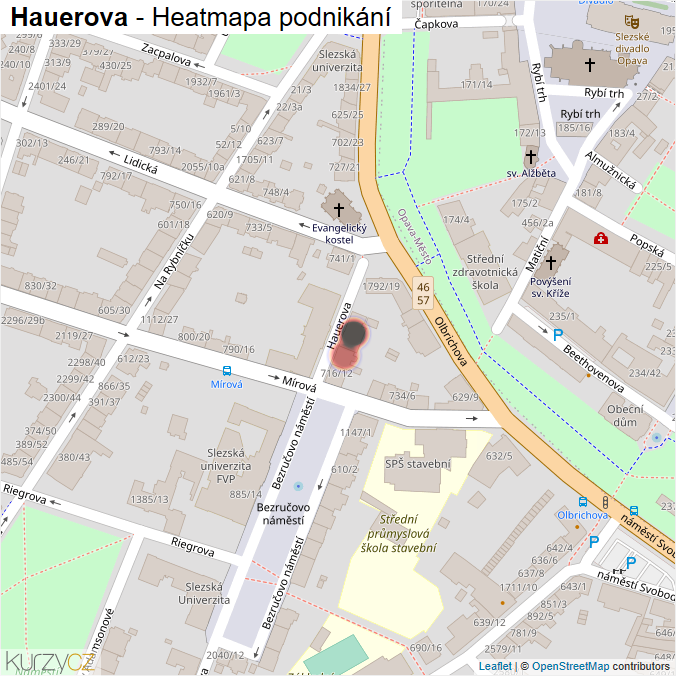 Mapa Hauerova - Firmy v ulici.