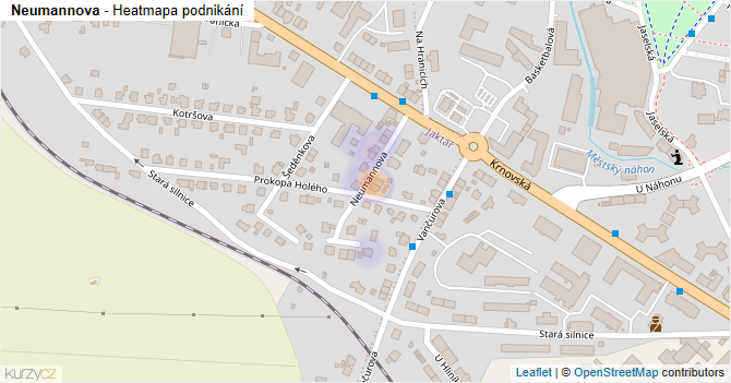 Neumannova - mapa podnikání