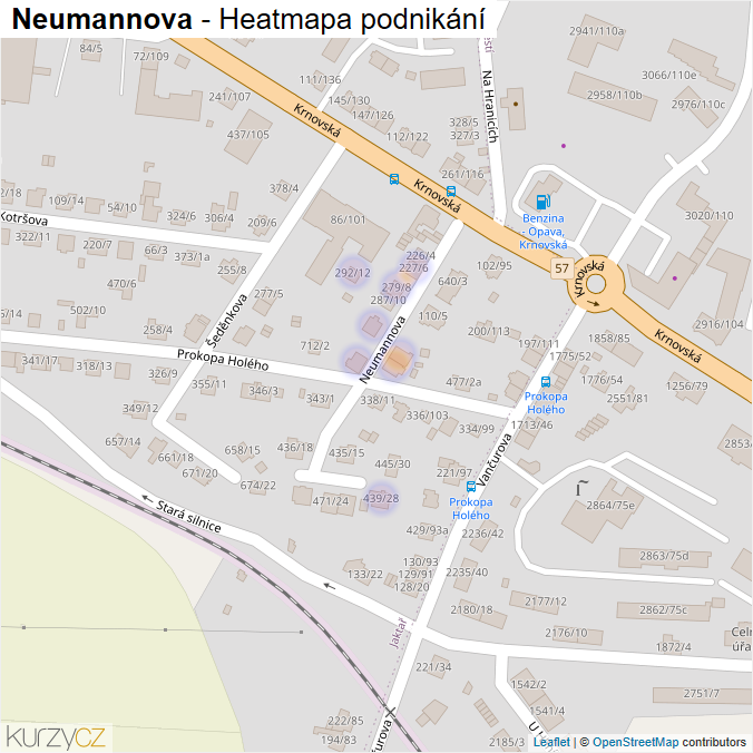 Mapa Neumannova - Firmy v ulici.