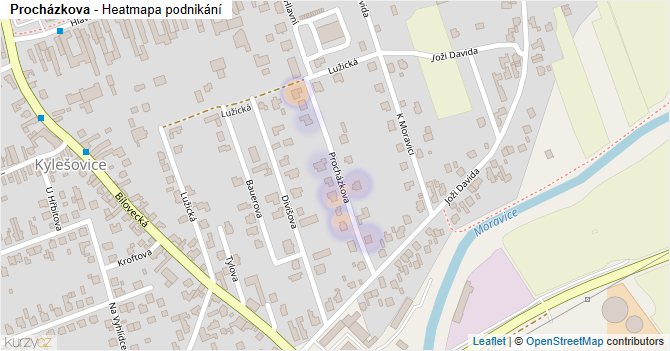 Procházkova - mapa podnikání