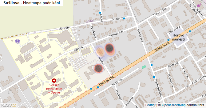 Sušilova - mapa podnikání