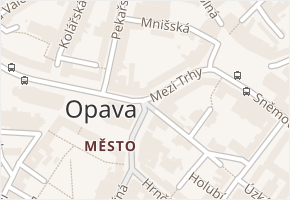 Vodní v obci Opava - mapa ulice