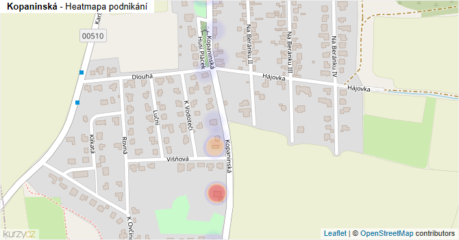 Kopaninská - mapa podnikání