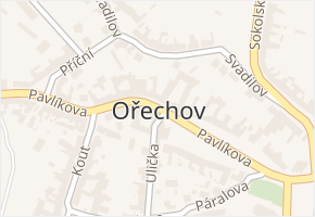 Ořechov v obci Ořechov - mapa části obce