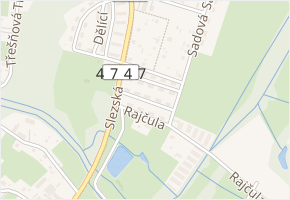 Dvouletky v obci Orlová - mapa ulice