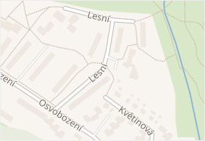 Lesní v obci Orlová - mapa ulice