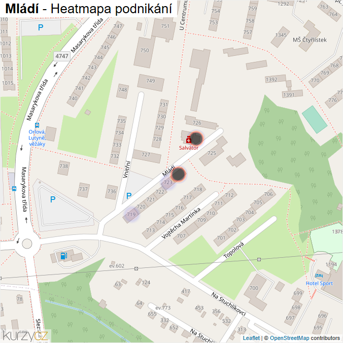 Mapa Mládí - Firmy v ulici.