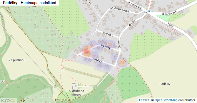 Padělky - mapa podnikání