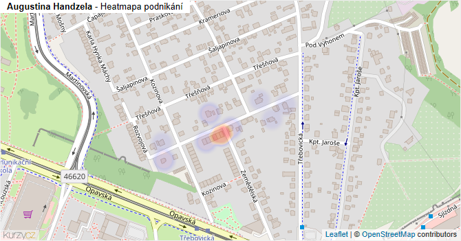 Augustina Handzela - mapa podnikání