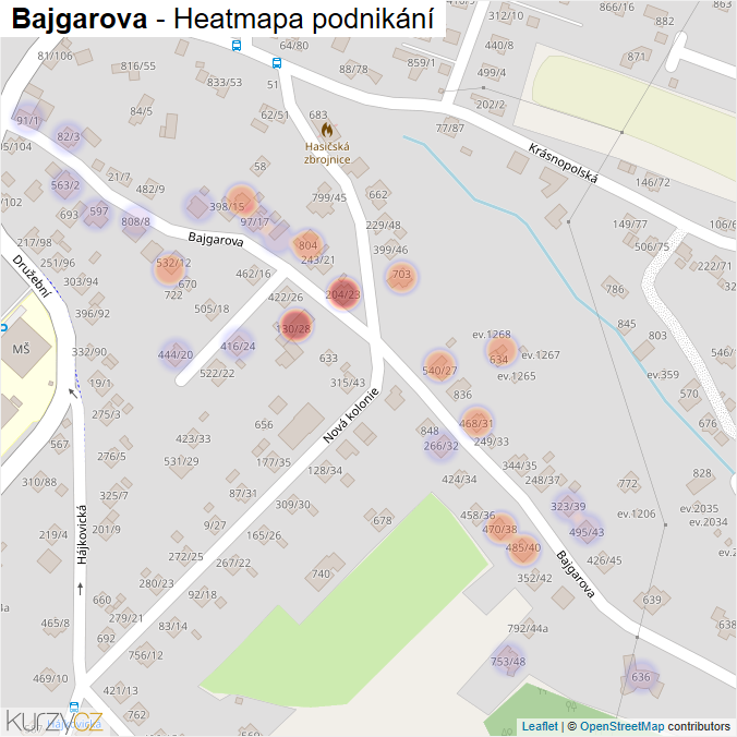 Mapa Bajgarova - Firmy v ulici.