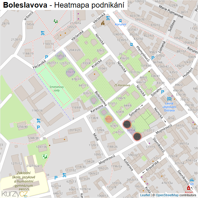 Mapa Boleslavova - Firmy v ulici.