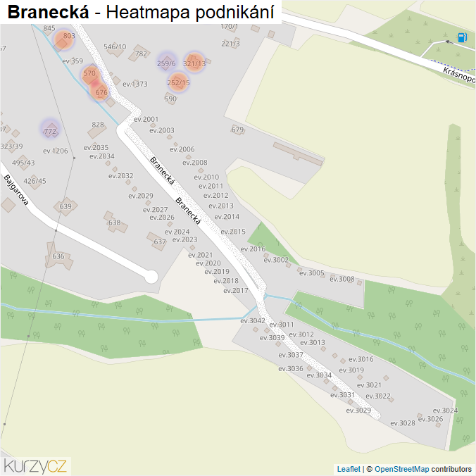 Mapa Branecká - Firmy v ulici.