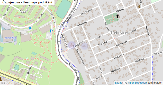 Čapajevova - mapa podnikání