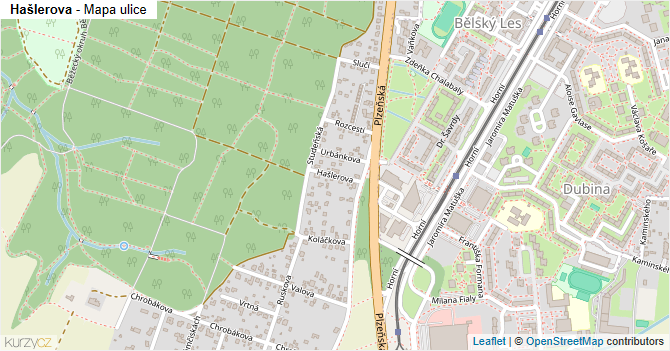 Hašlerova - mapa ulice