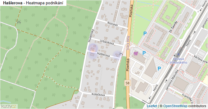 Hašlerova - mapa podnikání