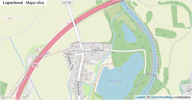 Lopuchová - mapa ulice