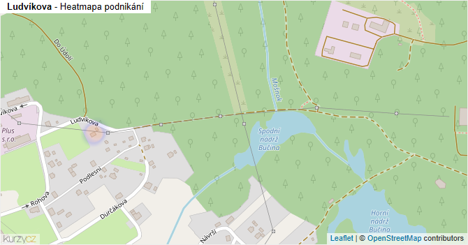Ludvíkova - mapa podnikání
