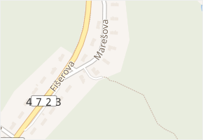 Marešova v obci Ostrava - mapa ulice