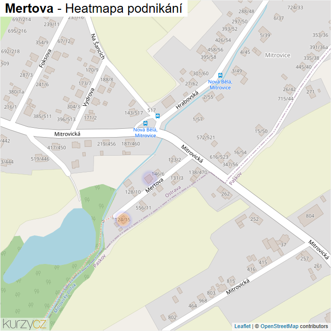 Mapa Mertova - Firmy v ulici.