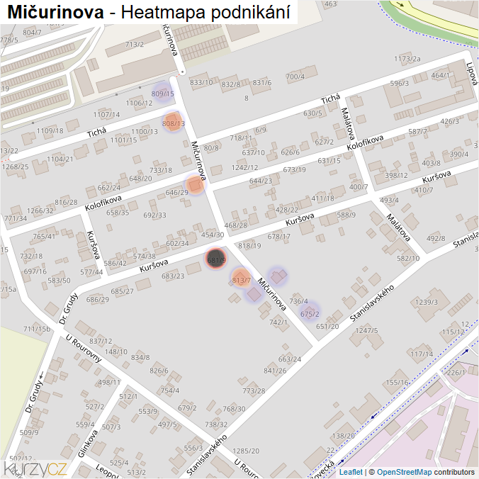 Mapa Mičurinova - Firmy v ulici.