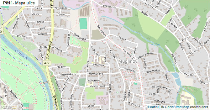 Pěší - mapa ulice