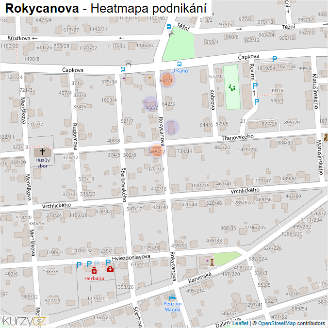 Mapa Rokycanova - Firmy v ulici.