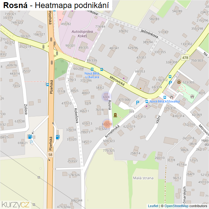 Mapa Rosná - Firmy v ulici.