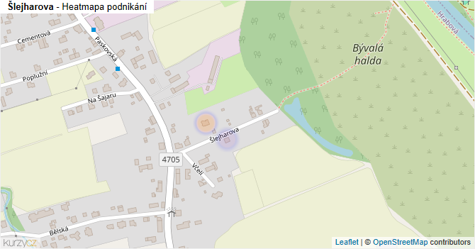 Šlejharova - mapa podnikání