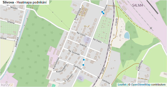 Slívova - mapa podnikání