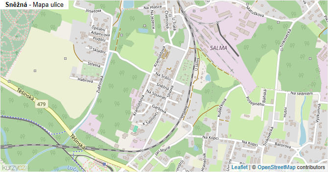 Sněžná - mapa ulice