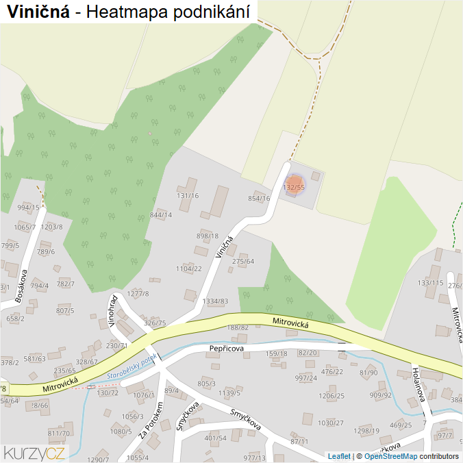 Mapa Viničná - Firmy v ulici.