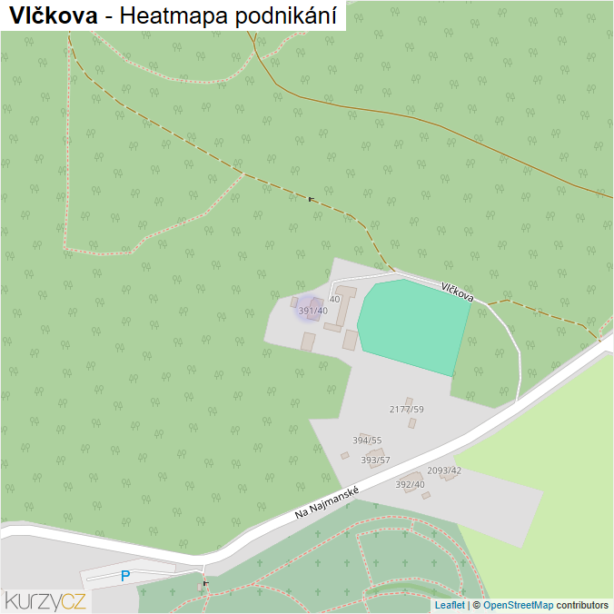 Mapa Vlčkova - Firmy v ulici.