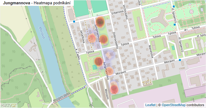 Jungmannova - mapa podnikání
