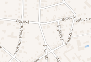 Borová v obci Pardubice - mapa ulice