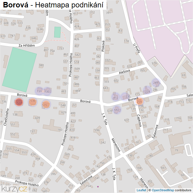 Mapa Borová - Firmy v ulici.