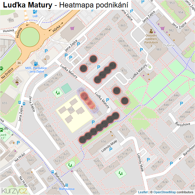 Mapa Luďka Matury - Firmy v ulici.