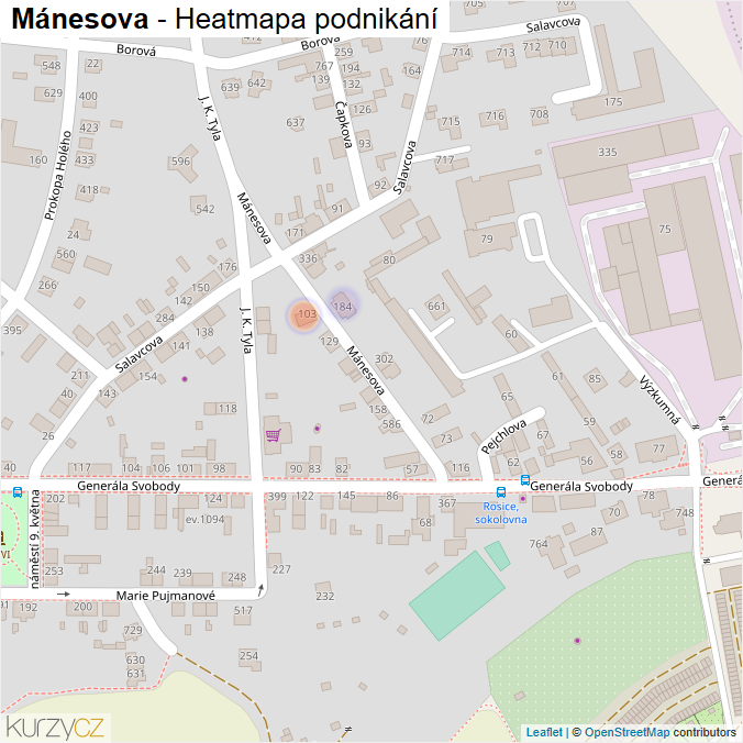 Mapa Mánesova - Firmy v ulici.