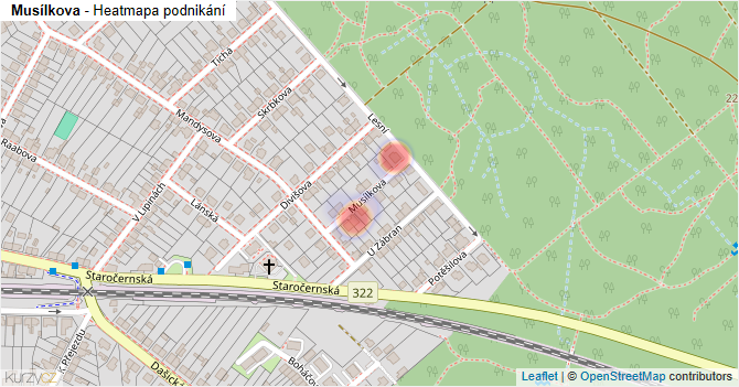 Musílkova - mapa podnikání