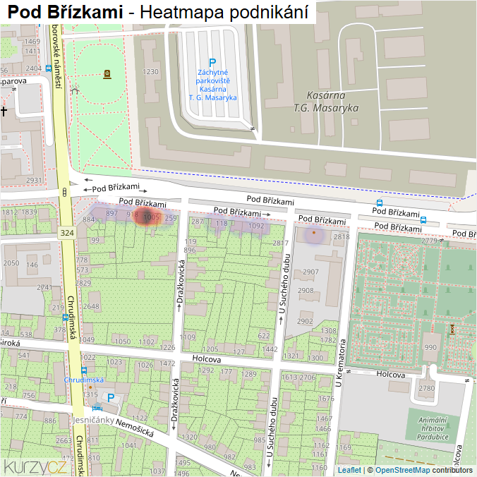 Mapa Pod Břízkami - Firmy v ulici.