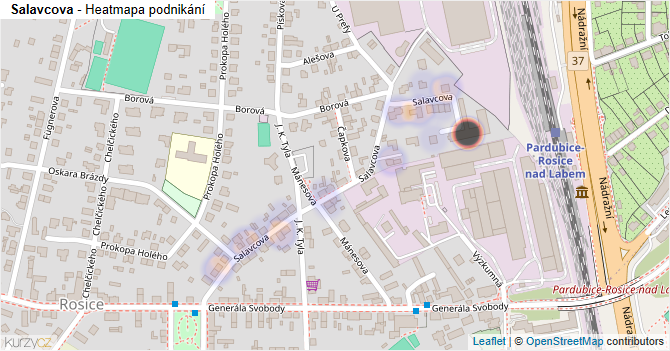 Salavcova - mapa podnikání
