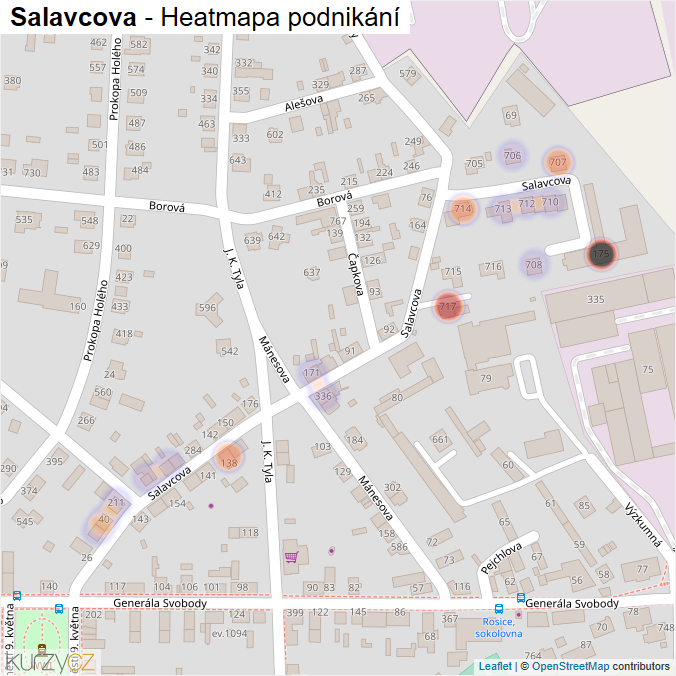 Mapa Salavcova - Firmy v ulici.